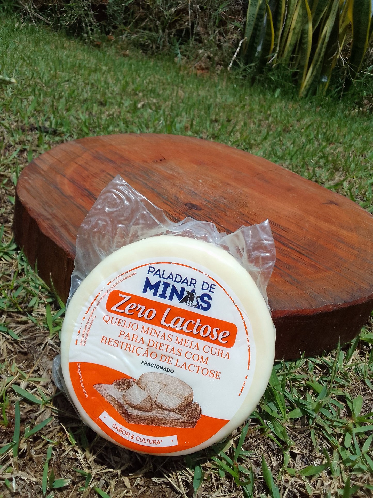 QUEIJO MEIA CURA ZERO LACTOSE - 375g