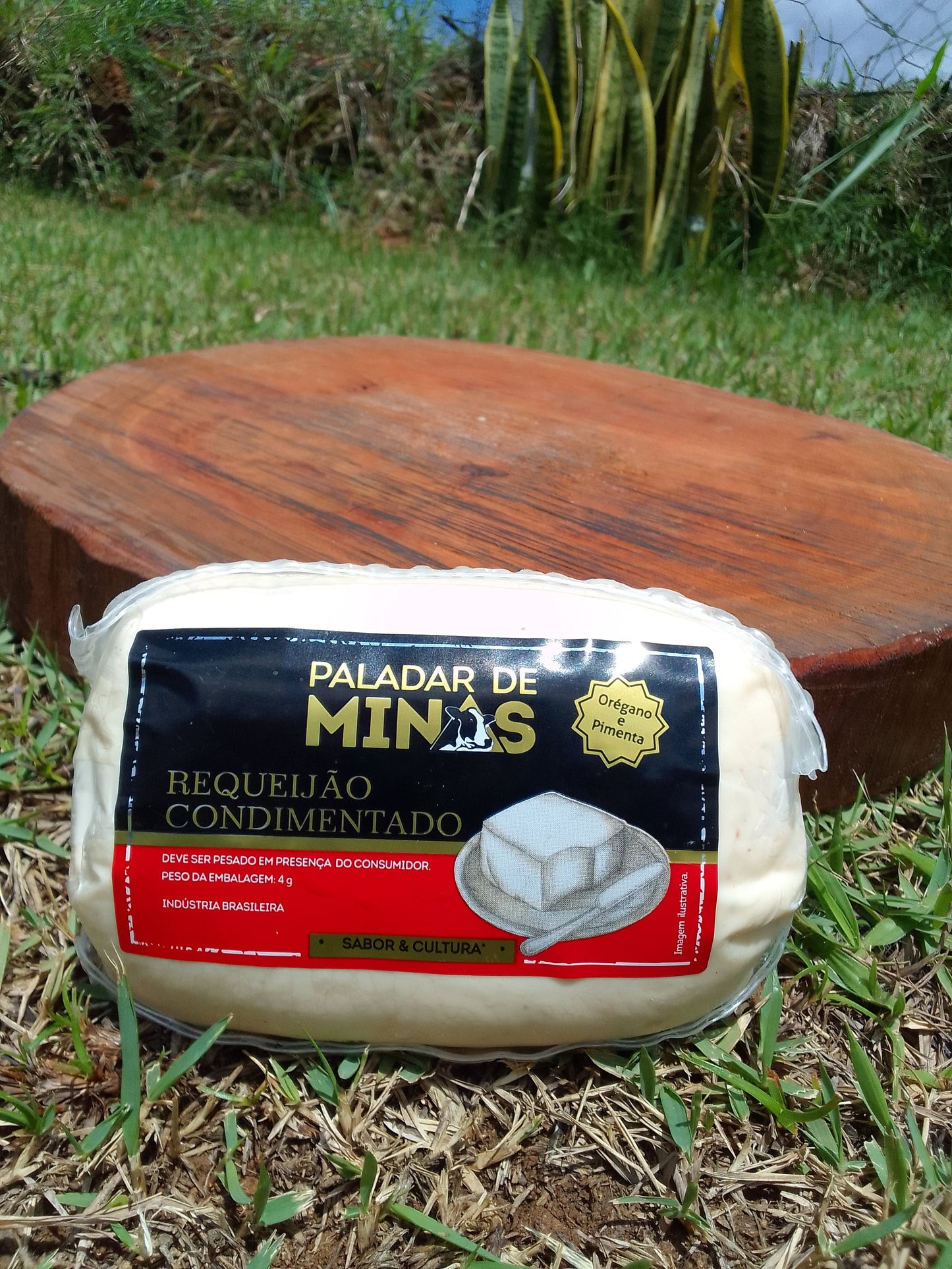REQUEIJÃO EM BARRA CONDIMENTADO - 325g